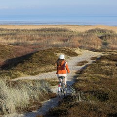 Radfahren Radfahren