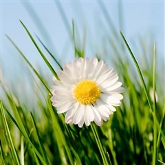 De Zomerdeal is op dit moment boekbaar. De Zomerdeal is op dit moment boekbaar.
