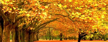 Hotel Oostzaan-Amsterdam - Herrlichter Herbst 4 Tagen Hotel Oostzaan-Amsterdam - Herrlichter Herbst 4 Tagen