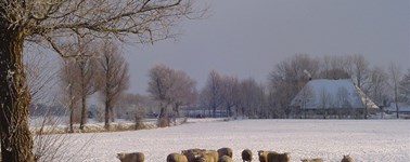 Winter Deal Winter Deal