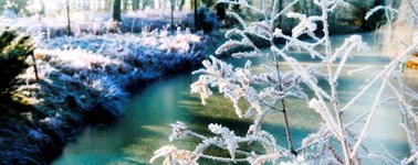 Hotel Apeldoorn - Hartje Winter arrangement 3 - DAAGS Hotel Apeldoorn - Hartje Winter arrangement 3 - DAAGS