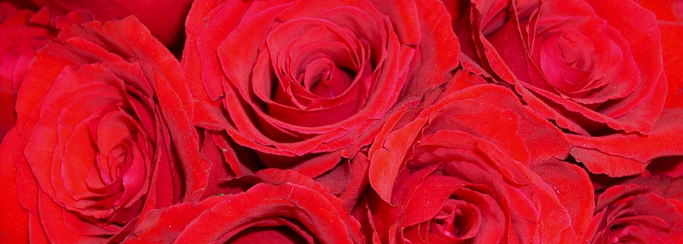Valentijnsmenu Valentijnsmenu