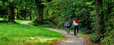 Arthuur Fietsarrangement Arthuur Fietsarrangement