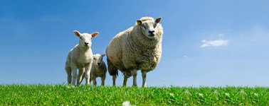 Van der Valk Voorjaarsdeal 2daags Van der Valk Voorjaarsdeal 2daags
