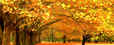 Heerlijke Herfst 4-daags Heerlijke Herfst 4-daags