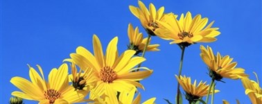 Hotel Vianen - Zomerspecial Hotel Vianen - Zomerspecial