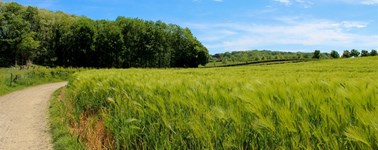 Vorstelijke minivakantie Vorstelijke minivakantie