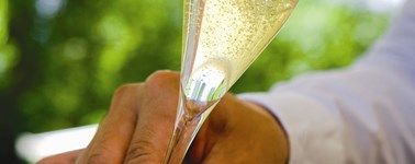 Hotel Kasteel Bloemendal - Suite Dream Package Hotel Kasteel Bloemendal - Suite Dream Package