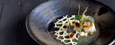 Hotel Wolvega - Heerenveen - Jan Smink Package Hotel Wolvega - Heerenveen - Jan Smink Package