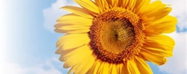 Hotel Wolvega - Heerenveen - Sommer special Hotel Wolvega - Heerenveen - Sommer special