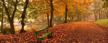 Hotel Den Haag - Nootdorp - Lovely autumn package 3 days Hotel Den Haag - Nootdorp - Lovely autumn package 3 days