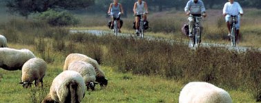 Iets met de Fiets 4- daags Iets met de Fiets 4- daags