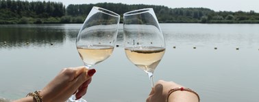 Zomer & Herfst Actie Zomer & Herfst Actie