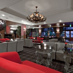 Lounge Lounge