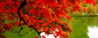 Heerlijke herfst 4 daags Heerlijke herfst 4 daags