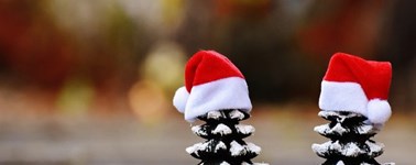 Hotel Emmeloord - Christmas package 2-day Comfort room Hotel Emmeloord - Christmas package 2-day Comfort room