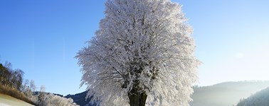 Hotel Emmeloord - 4- day winter package Hotel Emmeloord - 4- day winter package