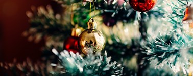 Hotel Emmeloord - Weihnachtspaket - 3 tage Comfort zimmer Hotel Emmeloord - Weihnachtspaket - 3 tage Comfort zimmer