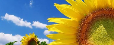 Hotel Goes - Zomerdeal Hotel Goes - Zomerdeal