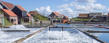 Proef Zeeland Proef Zeeland