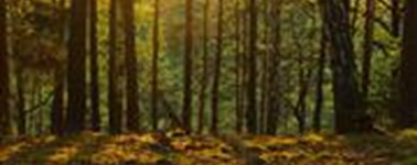 Hotel De Gouden Leeuw - Herbst Deal Hotel De Gouden Leeuw - Herbst Deal