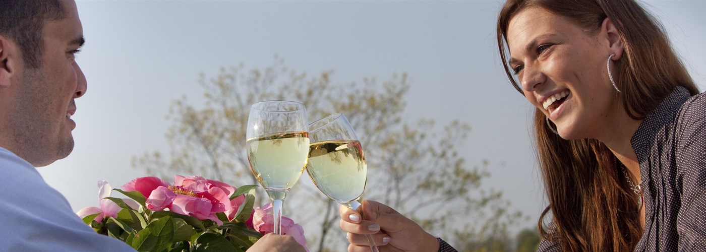 Wine suggestion Wine suggestion