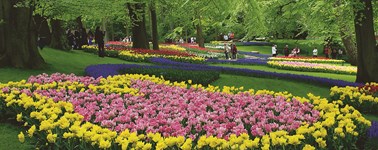 Hotel De Gouden Leeuw - Keukenhof arrangement 3-daags Hotel De Gouden Leeuw - Keukenhof arrangement 3-daags
