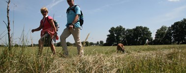 Heerlijk Herfst 3-daags Heerlijk Herfst 3-daags