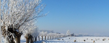 Hartje Winter 4-daags Hartje Winter 4-daags
