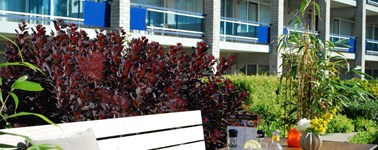 Hotel Schiphol - Fall Special Hotel Schiphol - Fall Special