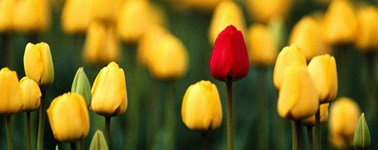 Hotel Schiphol - Happy Spring Package (3 days) Hotel Schiphol - Happy Spring Package (3 days)