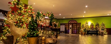 Hotel Schiphol - Kerstarrangement Hotel Schiphol - Kerstarrangement