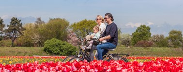 Fietsarrangement Fietsarrangement