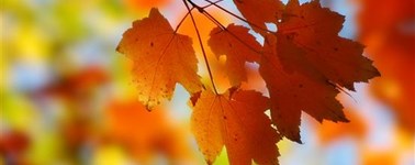 Heerlijk Herfst Heerlijk Herfst
