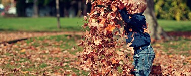 Heerlijk Herfst Heerlijk Herfst