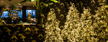 Hotel Duiven bij Arnhem A12 - Magical Christmas arrangement Hotel Duiven bij Arnhem A12 - Magical Christmas arrangement