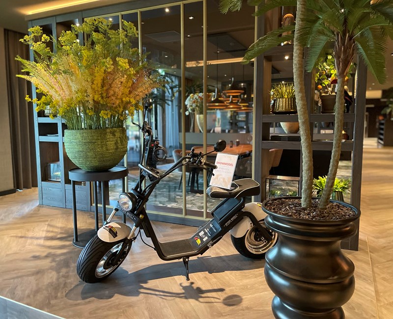 HUUR EEN E-CHOPPER HUUR EEN E-CHOPPER