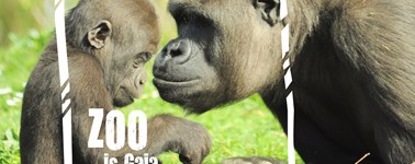 Hotel Heerlen - GaiaZOO (2 days) Hotel Heerlen - GaiaZOO (2 days)