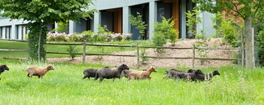 Hotel Heerlen - Happy Spring (3 days) Hotel Heerlen - Happy Spring (3 days)