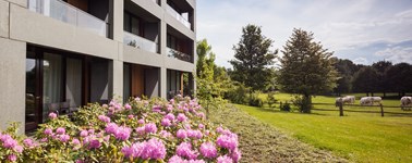 Hochsommer (4 Täglich) Hochsommer (4 Täglich)