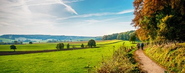 Wundervoller Herbst (3 Täglich) Wundervoller Herbst (3 Täglich)