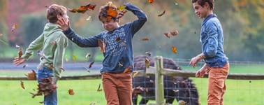 3=2 Miniferien (Herbst) 3=2 Miniferien (Herbst)