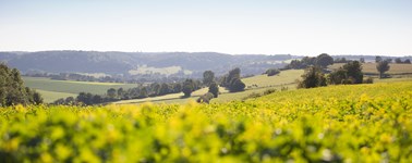 Vakantie in Zuid-Limburg Vakantie in Zuid-Limburg