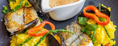 Airporthotel Duesseldorf - Dinner Special Frühling - 3 Tage Airporthotel Duesseldorf - Dinner Special Frühling - 3 Tage