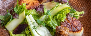 Airporthotel Duesseldorf - Dinner Special Winter - 3 Tage Airporthotel Duesseldorf - Dinner Special Winter - 3 Tage
