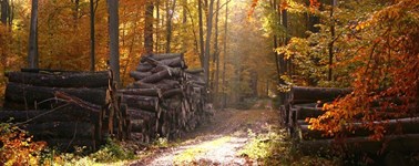 Herfstdeal Herfstdeal