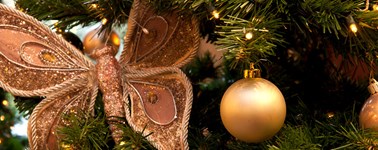 Hotel Harderwijk op de Veluwe - X-mas Eve Live Cooking Hotel Harderwijk op de Veluwe - X-mas Eve Live Cooking