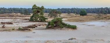 Hotel Harderwijk op de Veluwe - Sunday 2-daags Hotel Harderwijk op de Veluwe - Sunday 2-daags