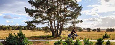 E-Bike E-Bike