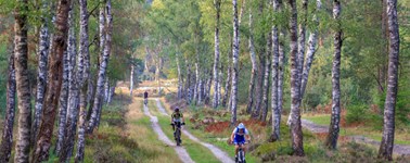 Mountainbike Mountainbike